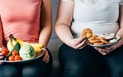 Optimiser ses choix alimentaires pour renforcer l’énergie naturelle