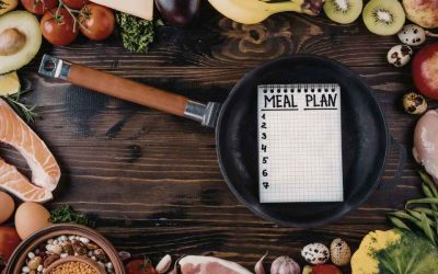 Plan alimentaire énergie : structurer ses journées pour avancer avec constance