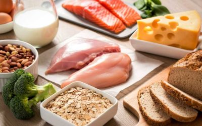 Construire une alimentation équilibrée pour une vitalité durable