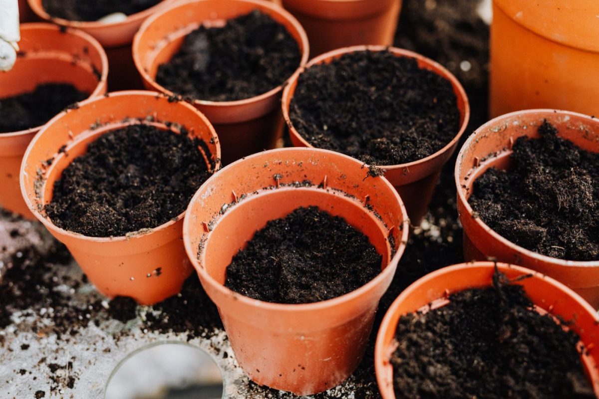 Créer un potager en pots sur balcon ou terrasse