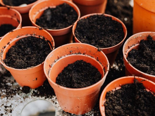 Créer un potager en pots sur balcon ou terrasse