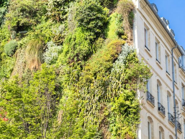Solutions d’isolation écologiques : options, atouts et limites