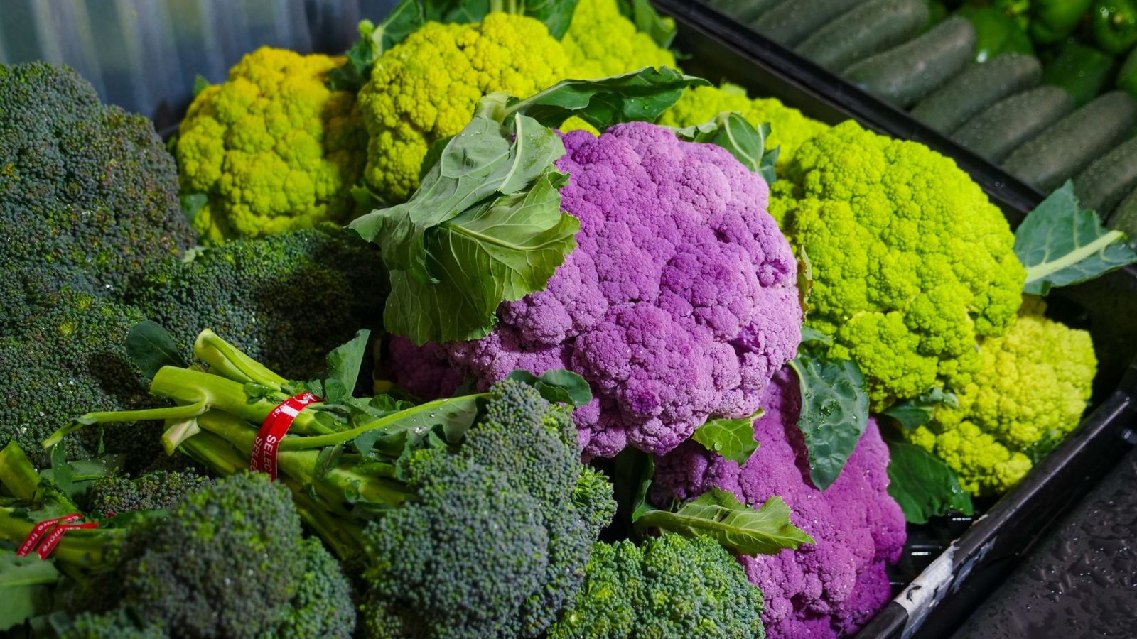 Légumes bio frais et colorés : tomates, carottes, courges, légumes cultivés sans pesticides synthétiques.