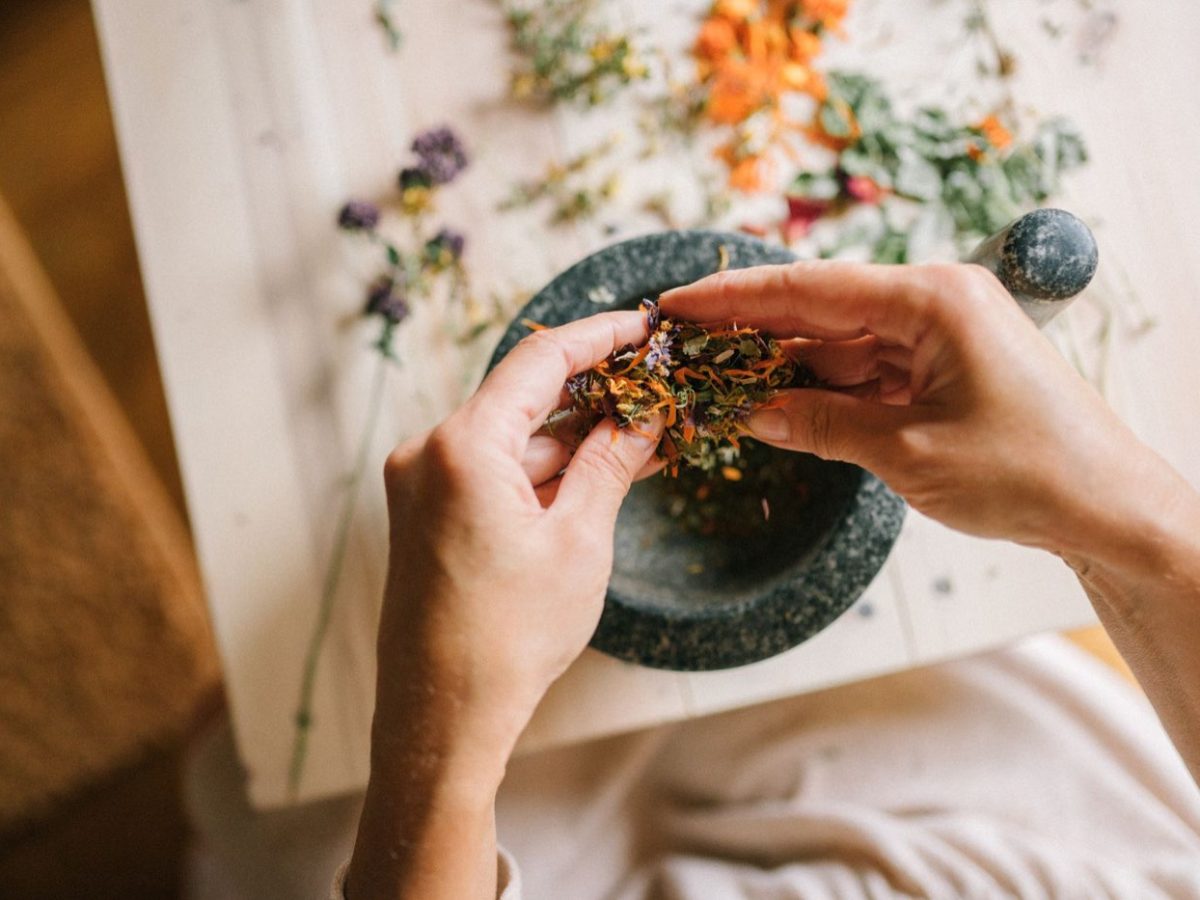 Plantes dites médicinales : statuts, usages et précautions