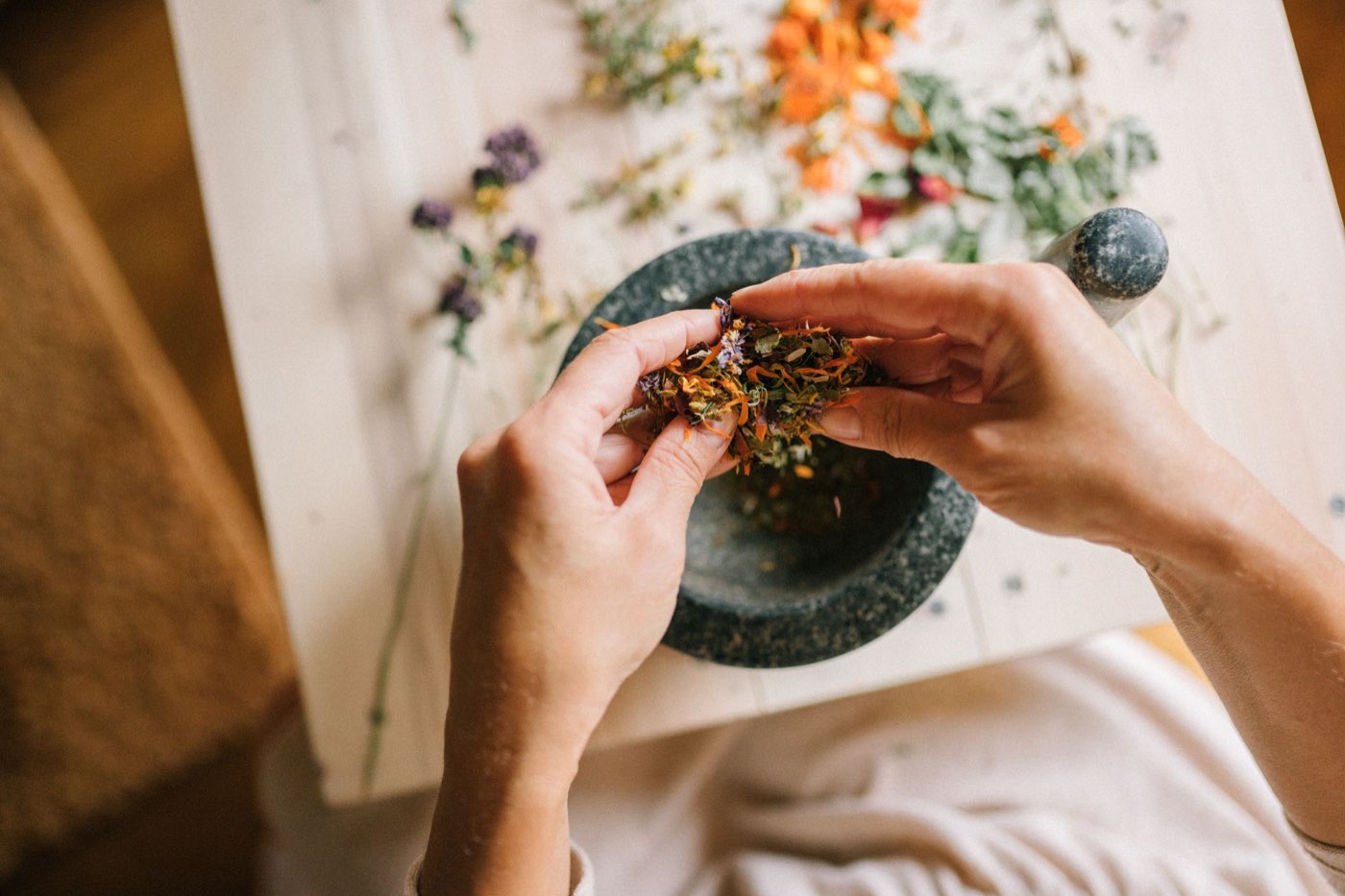 Plantes dites médicinales : statuts, usages et précautions