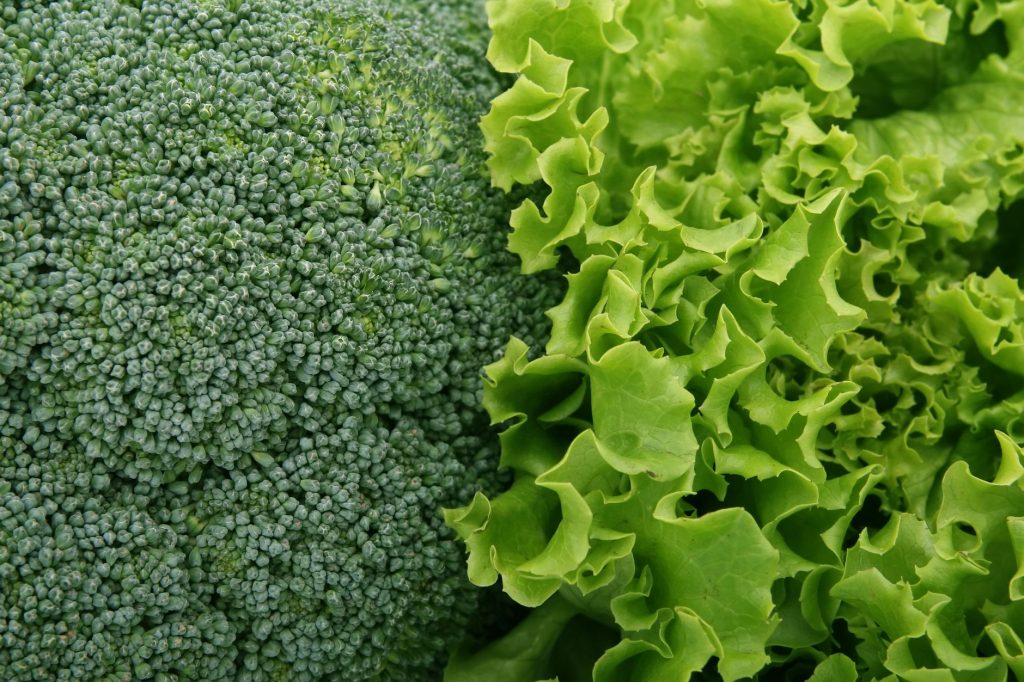 Les légumes verts de septembre pour votre bien-être
