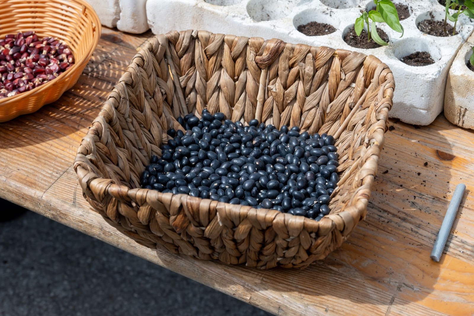Aliments riches en fibres : lesquels choisir pour votre microbiote