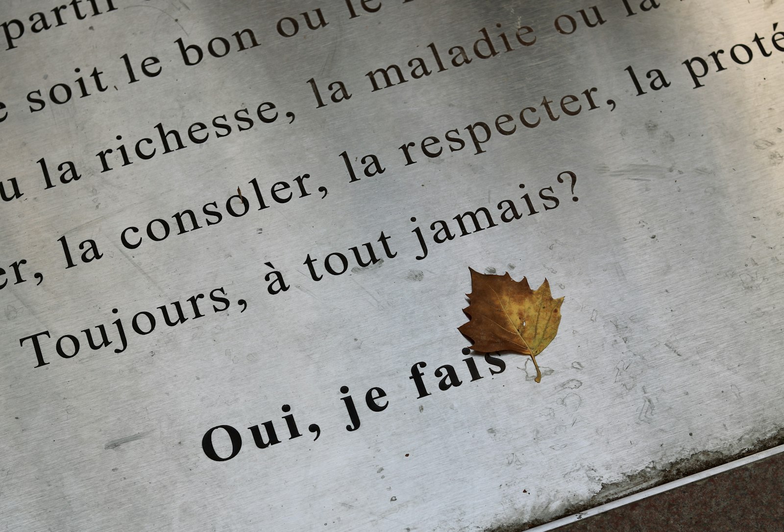 Pourquoi l'arroche doit absolument revenir dans vos assiettes cet automne