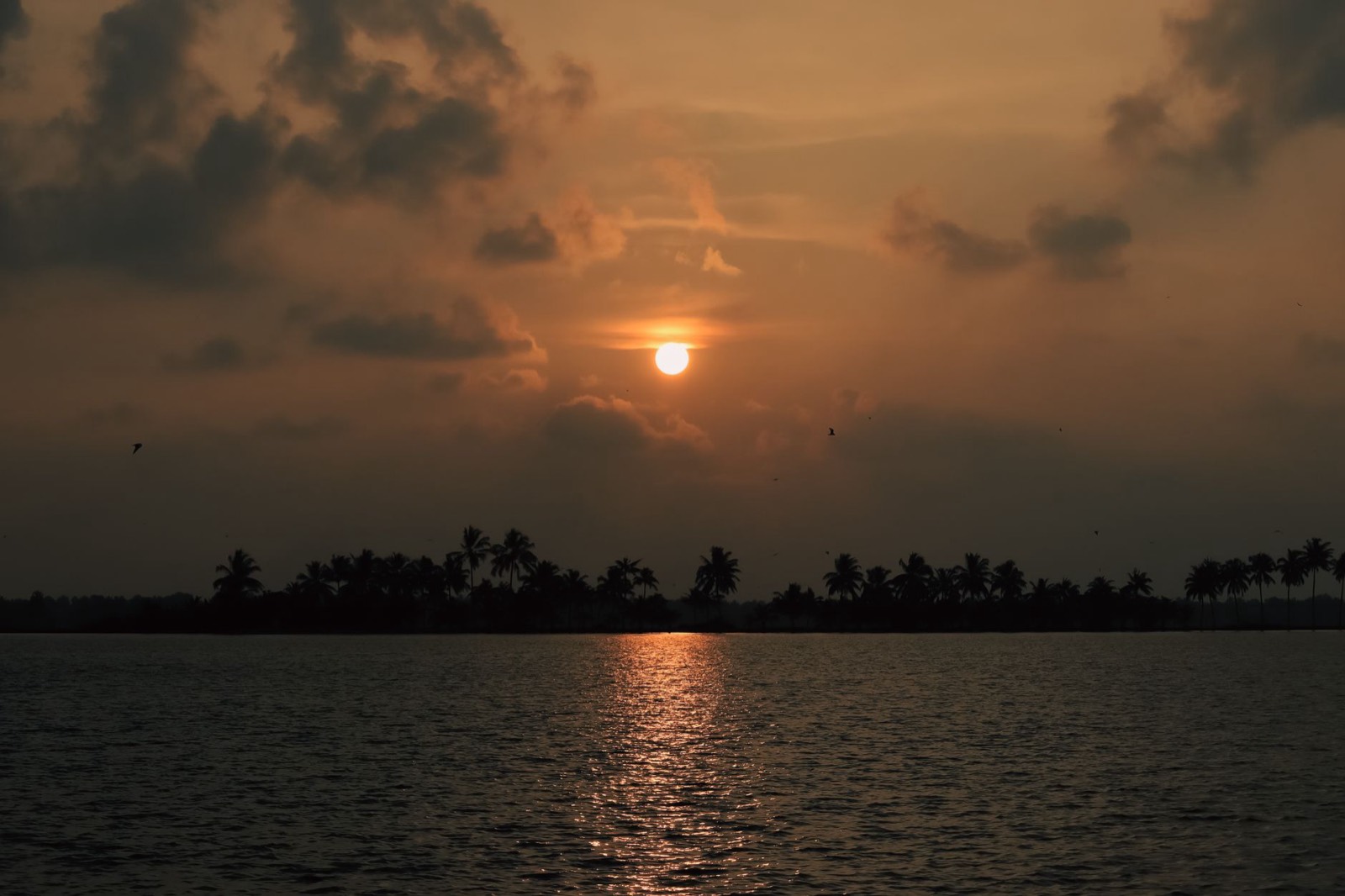 Retraite spirituelle au Kerala en 2027 : dix jours de méditation en français