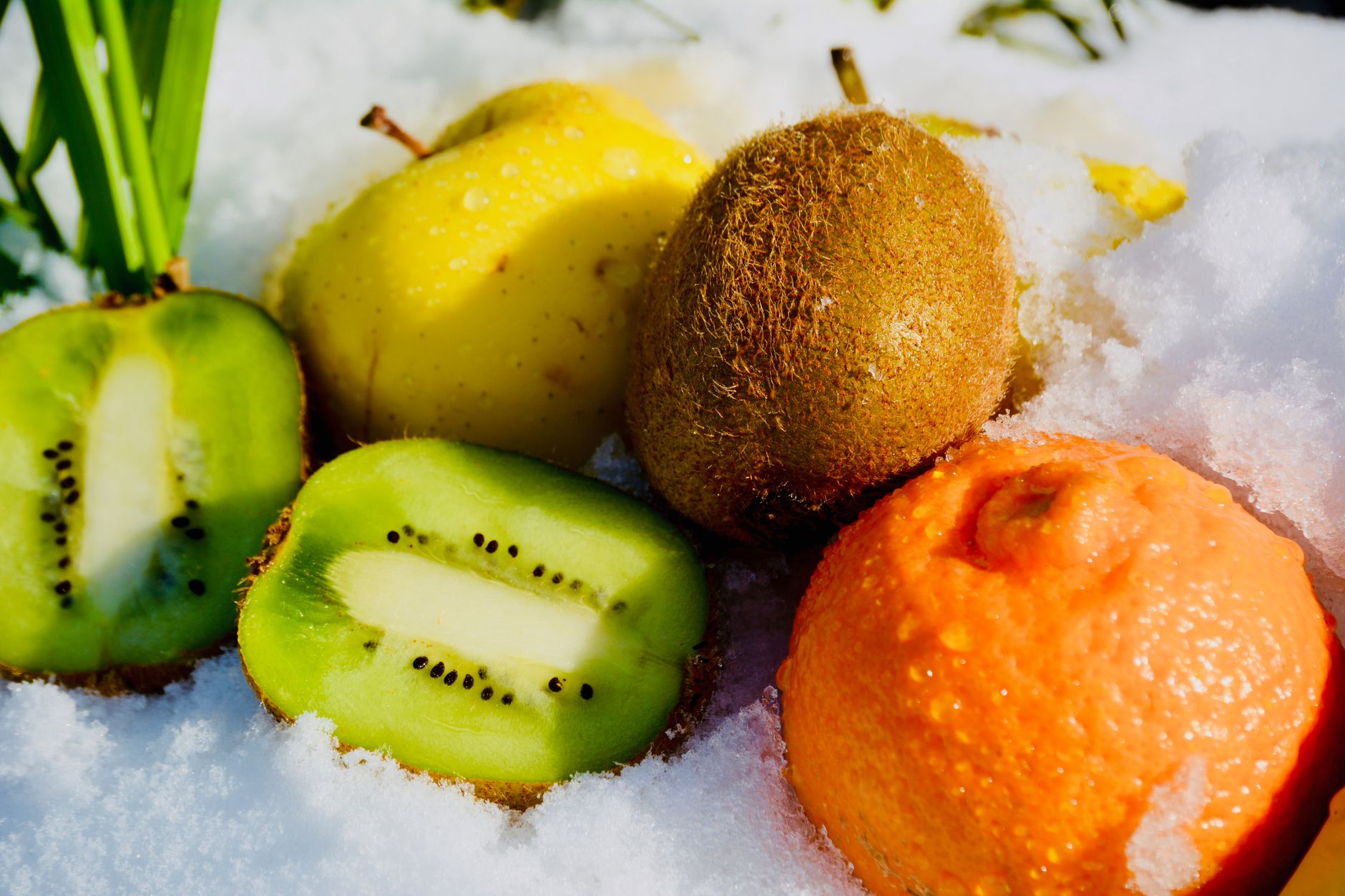 Dès l’hiver, quels aliments privilégier pour affronter le froid ?