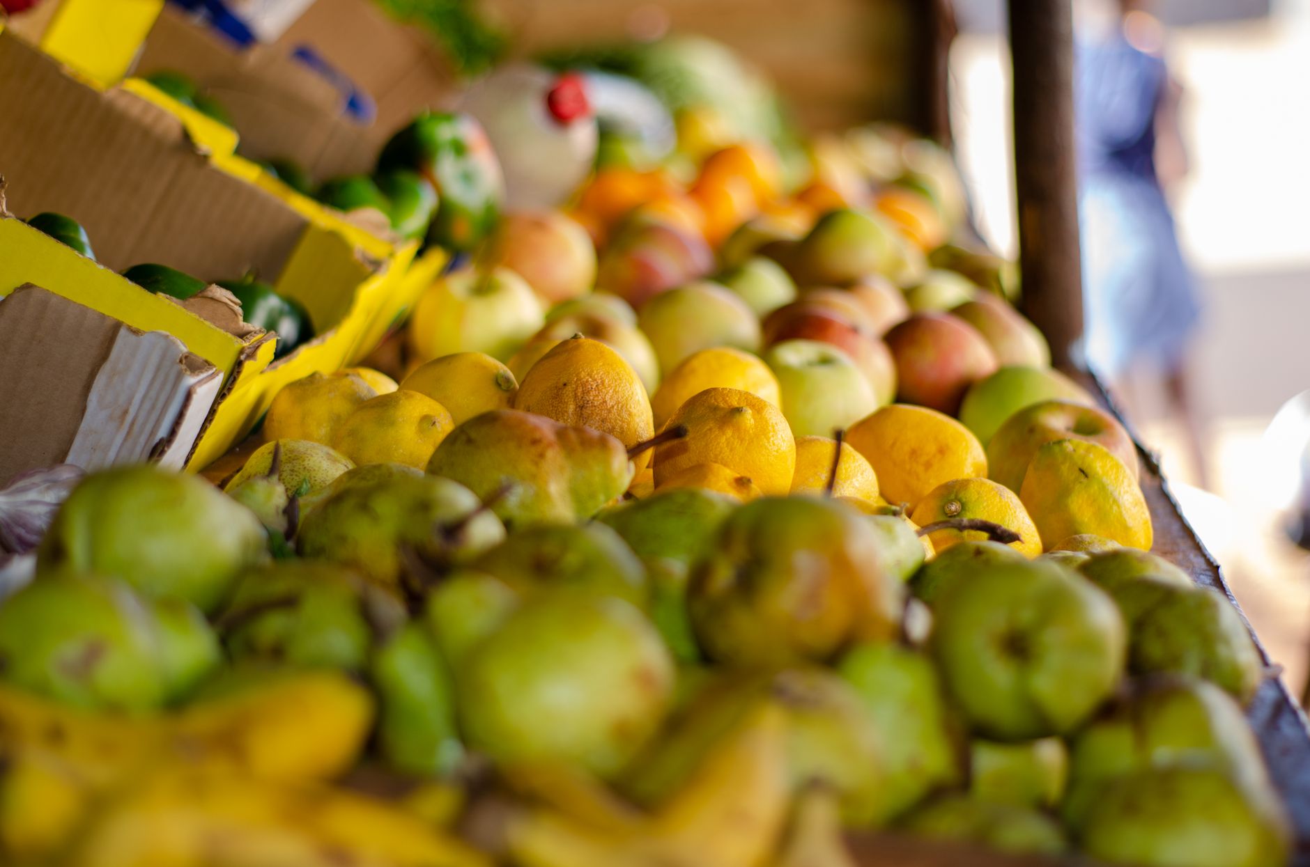 Les super-aliments qui réduisent l’inflammation au quotidien