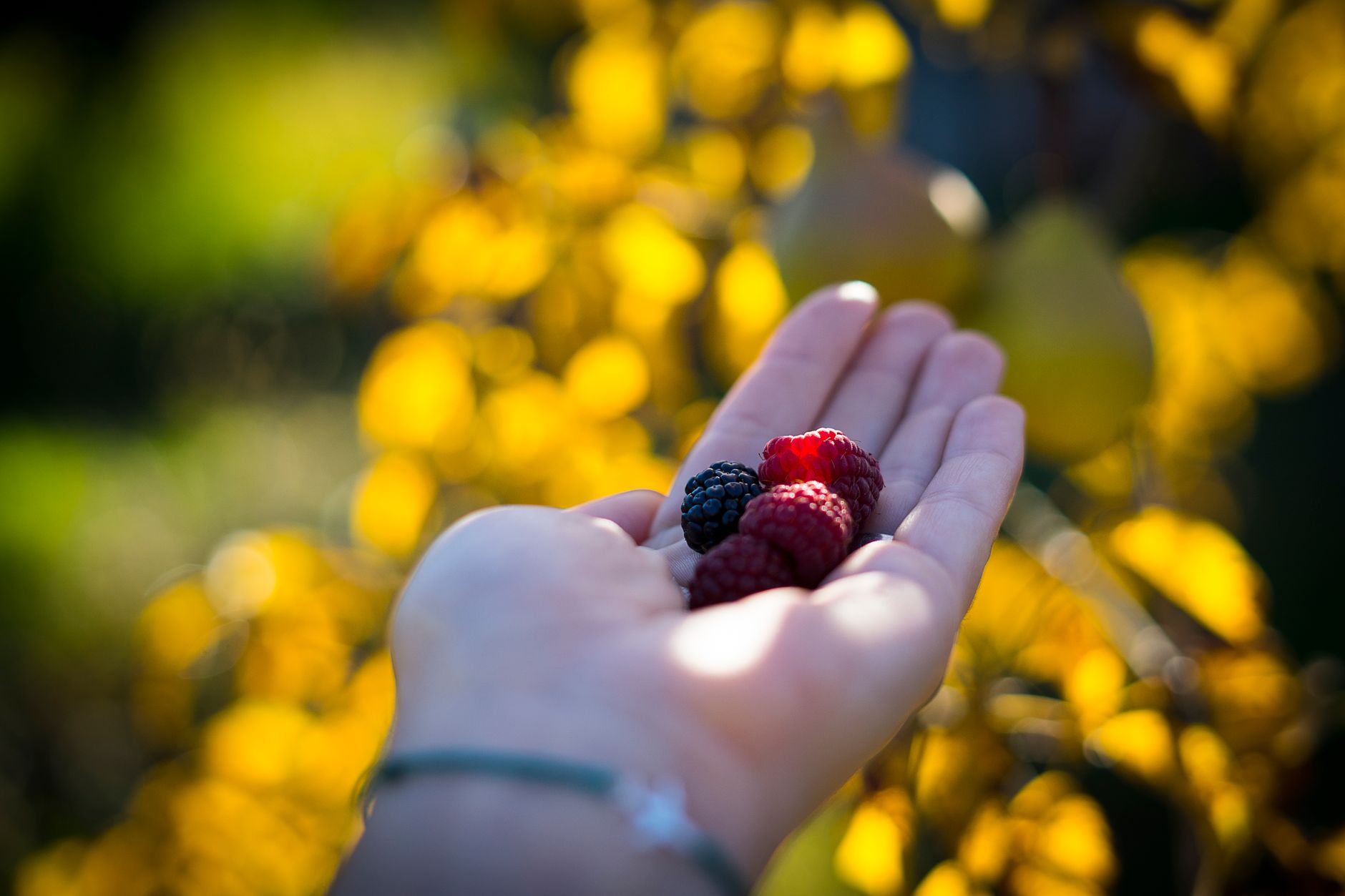 La naturopathie peut-elle vraiment améliorer votre bien-être ? Oui, voici comment